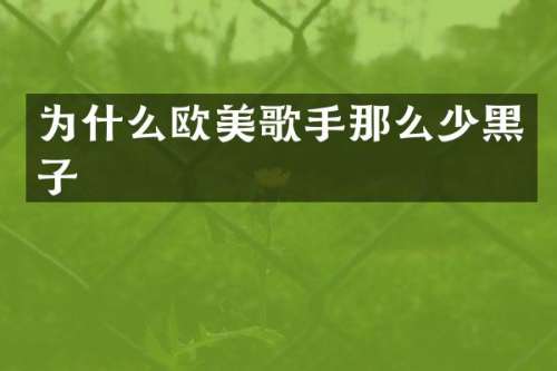为什么欧美歌手那么少黑子
