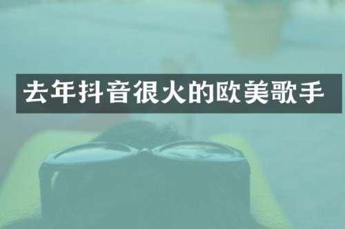 去年抖音很火的欧美歌手