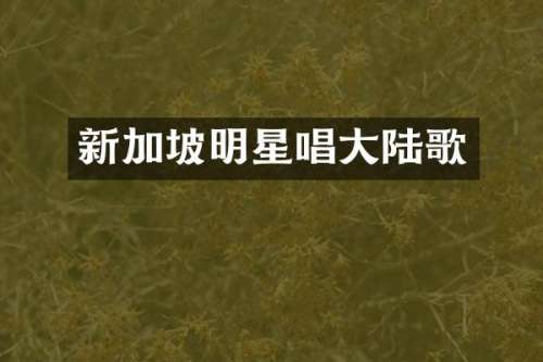 新加坡明星唱大陆歌