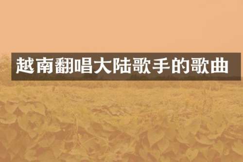 越南翻唱大陆歌手的歌曲
