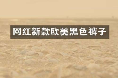 网红新款欧美黑色裤子