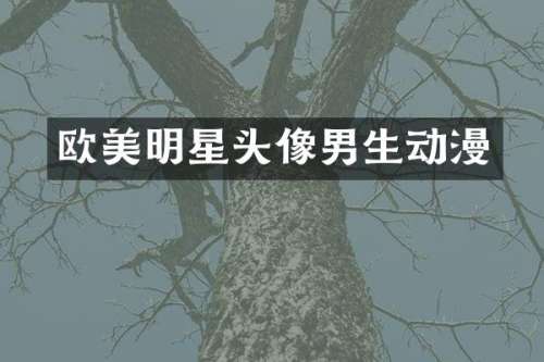 欧美明星头像男生动漫