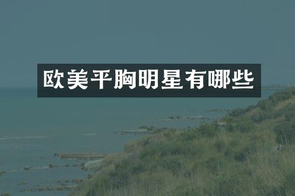 欧美平明星有哪些