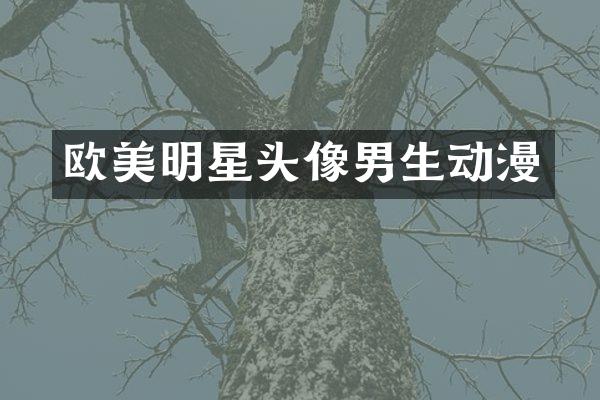 欧美明星头像男生动漫