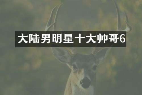 大陆男明星十大帅哥6