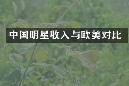 中国明星收入与欧美对比