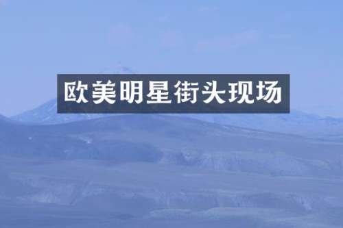 欧美明星街头现场