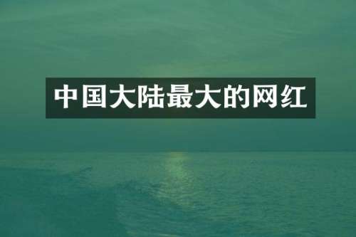 中国大陆最大的网红