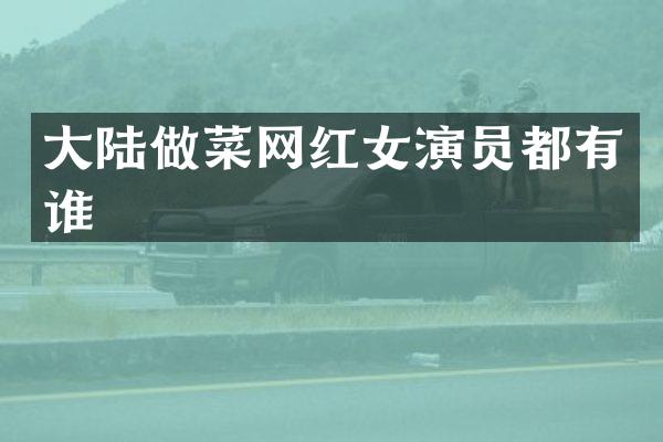 大陆做菜网红女演员都有谁