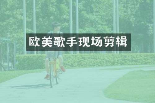 欧美歌手现场剪辑