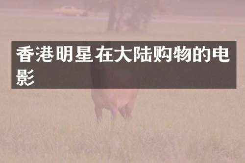 香港明星在大陆购物的电影