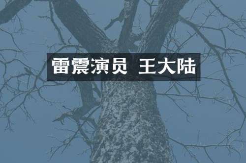 雷震演员 王大陆