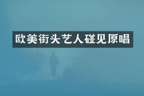 欧美街头艺人碰见原唱