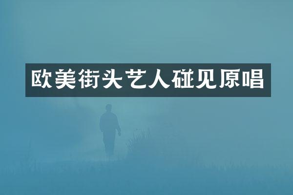 欧美街头艺人碰见原唱