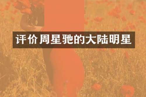 评价周星驰的大陆明星