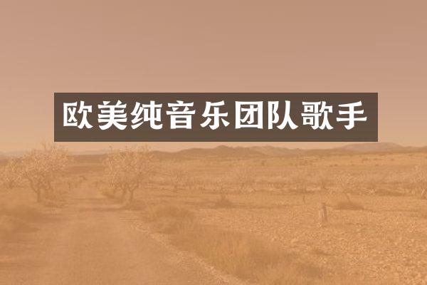 欧美纯音乐团队歌手