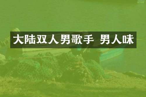 大陆双人男歌手 男人味
