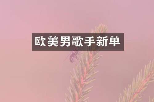 欧美男歌手新单