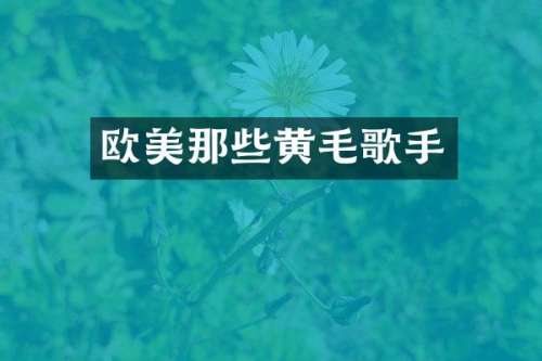 欧美那些黄毛歌手