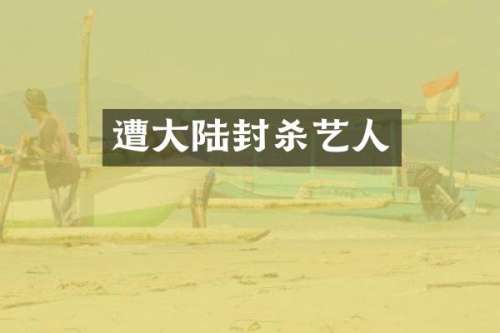 遭大陆封杀艺人
