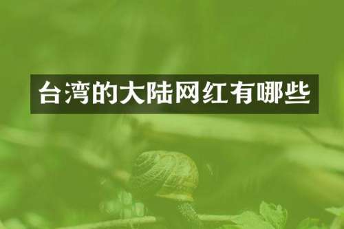 台湾的大陆网红有哪些