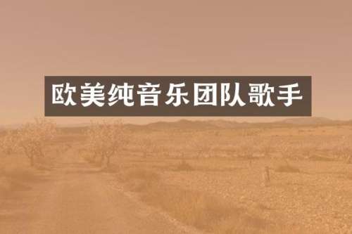 欧美纯音乐团队歌手