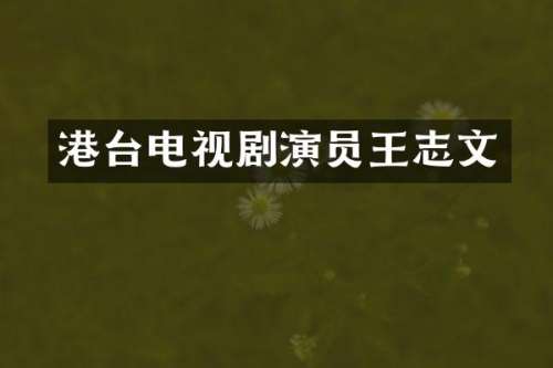 港台电视剧演员王志文