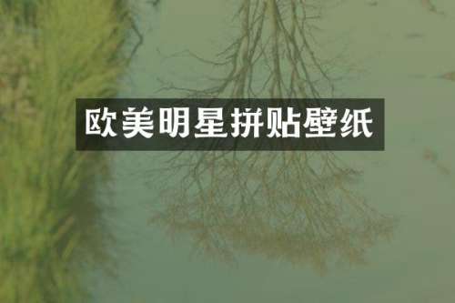 欧美明星拼贴壁纸