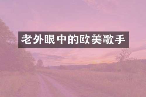 老外眼中的欧美歌手