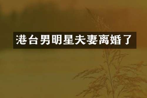 港台男明星夫妻离婚了