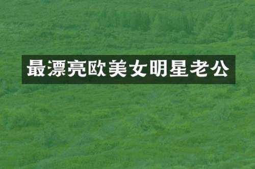最漂亮欧明星老公