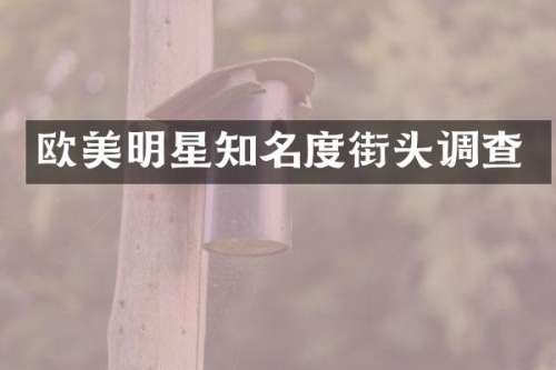欧美明星知名度街头调查