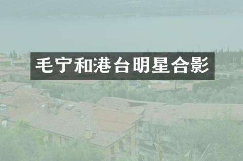 毛宁和港台明星合影