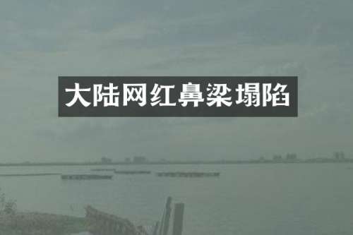 大陆网红鼻梁塌陷