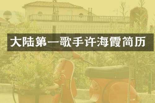 大陆第一歌手许海霞简历