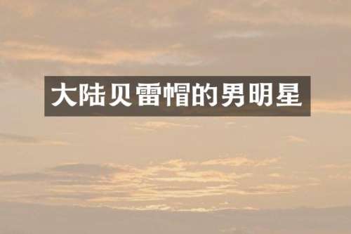 大陆贝雷帽的男明星