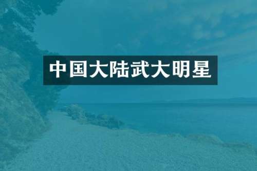 中国大陆武大明星