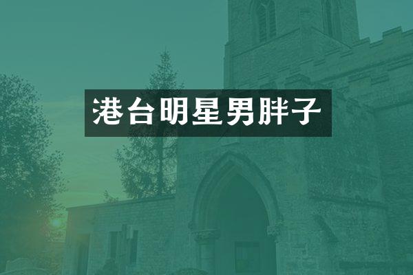 港台明星男胖子