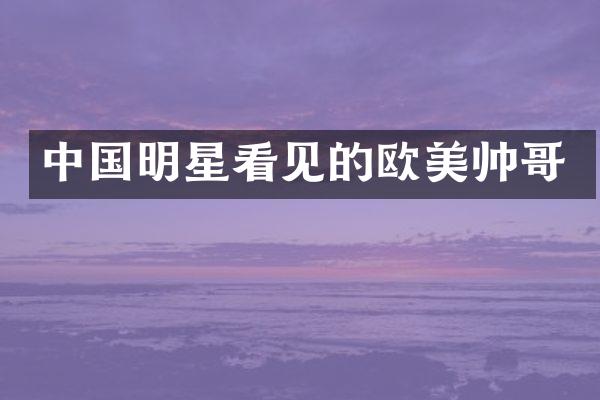 中国明星看见的欧美帅哥