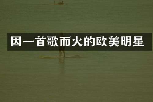 因一首歌而火的欧美明星