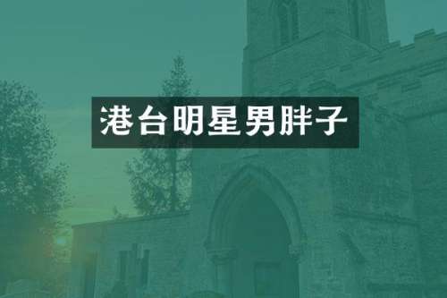 港台明星男胖子