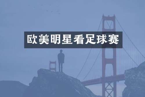 欧美明星看足球赛
