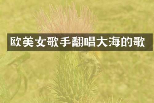 欧歌手翻唱大海的歌