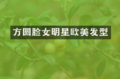 方圆脸女明星欧美发型