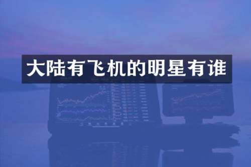 大陆有飞机的明星有谁