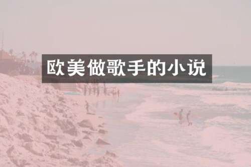 欧美做歌手的小说