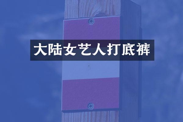 大陆女艺人打底裤