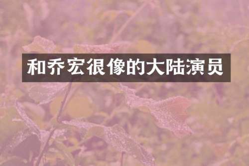 和乔宏很像的大陆演员
