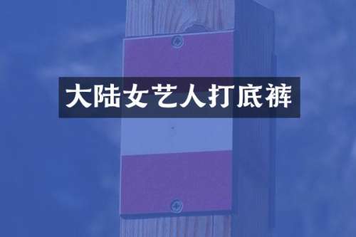 大陆女艺人打底裤
