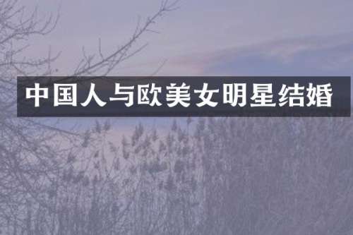 中国人与欧明星结婚